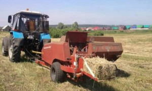 Қордай ауданында биыл 27 726 гектар алқапта мал азығы дайындалады