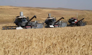 Түркістан облысының агроөнеркәсіптік кешені республикада бірінші орында тұр