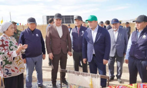 Түркістан облысы агросалада көш бастады: Жарты жылда 325,3 млрд теңгенің өнімі өндірілді