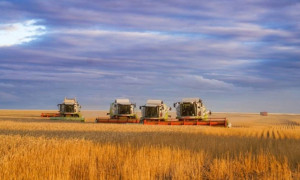 Астық экспорты 13%-ға өсіп, 7,1 млн тоннаға жетті