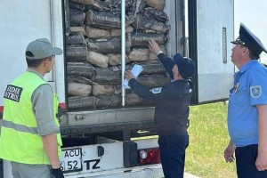 Елге Ресейден 30 тонна жұмыртқаны заңсыз кіргізбек болған
