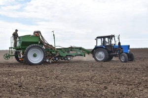 Қазақстанның оңтүстік өңірлерінде көктемгі егіс науқаны аяқталуға жақын