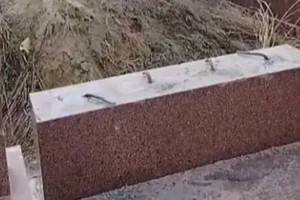 Алматы облысында зираттың құлыптастарын қиратқан күдікті ұсталды (ВИДЕО)