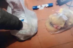 Ерлі-зайыптылар есірткіні заңсыз өндірді және сақтады деген күдікпен ұсталды (ВИДЕО)