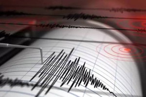 ТЖМ 20 наурызға дейін үш өңірде жер сілкінеді деген ақпаратқа пікір білдірді