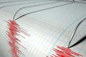 Қырғызстанда шамамен 4 балдық жер сілкінісі тіркелді