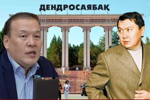 Мәжіліс депутаты Рахат Әлиевтың адамдары қысым көрсеткенін айтты (ВИДЕО)