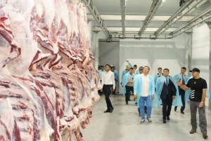 Балық өнімдері - Әзербайжанға, тірі ұсақ малдары - Моңғолияға, жем-шөп - Мароккоға: тағы қай елдерге қандай өнім экспортталады?