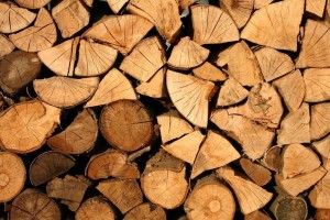 Қазақстанда ағаш материалдарын таңбалау жүйесі іске қосылуда