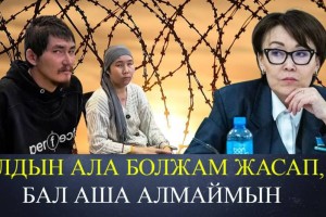 «12 жыл». Депутат Сәрсемалиевтің қанша жылға сотталуы мүмкін екенін айтты (ВИДЕО)