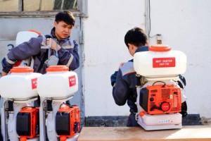 Астанада маса мен шіркейге қарсы күрес жұмысы қалай өтеді?