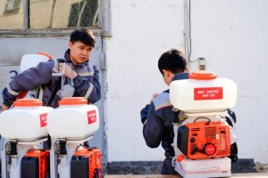 Как будут бороться с комарами и мошками в Астане