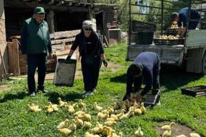 Үржарда «Тауарлық несие» бағдарламасы сәтті басталды