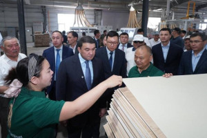 Түркістанда ламинат өндіретін заманауи зауыт іске қосылды