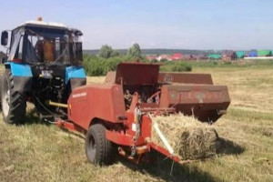 Қордай ауданында биыл 27 726 гектар алқапта мал азығы дайындалады