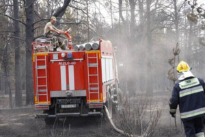 Қазақстанда биыл 536 орман өрті тіркелді
