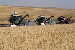 Түркістан облысының агроөнеркәсіптік кешені республикада бірінші орында тұр