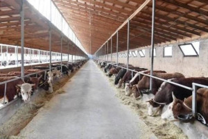 447,5 млрд теңгелік агросерпіліс: Түркістан облысы үш ірі кластермен жаңа деңгейге көтерілуде