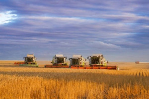 Астық экспорты 13%-ға өсіп, 7,1 млн тоннаға жетті