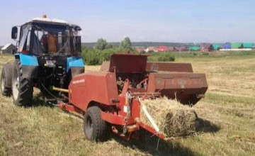 Қордай ауданында биыл 27 726 гектар алқапта мал азығы дайындалады