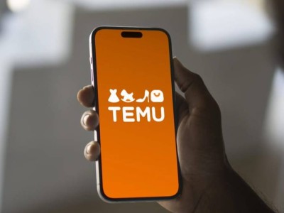 Temu-дан алынған ойыншықтар АҚШ-та тексеруден өтпеді