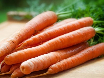 Сәбізді Қазақстаннан шығаруға уақытша тыйым салу ұсынылды