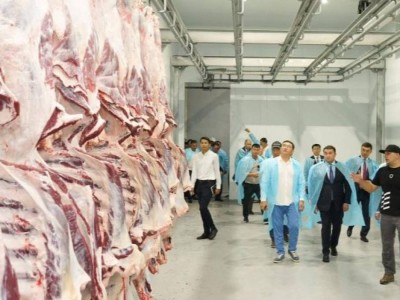 Балық өнімдері - Әзербайжанға, тірі ұсақ малдары - Моңғолияға, жем-шөп - Мароккоға: тағы қай елдерге қандай өнім экспортталады?