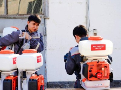 Как будут бороться с комарами и мошками в Астане