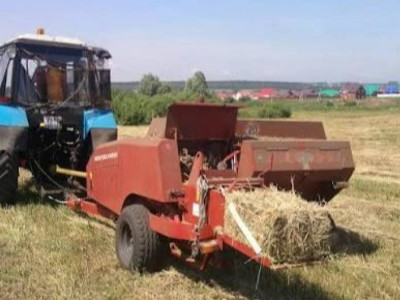 Қордай ауданында биыл 27 726 гектар алқапта мал азығы дайындалады