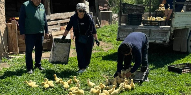 АУЫЛ ШАРУАШЫЛЫҒЫНДАҒЫ ЖАҢА СЕРПІН: Үржарда «Тауарлық несие» бағдарламасы сәтті басталды