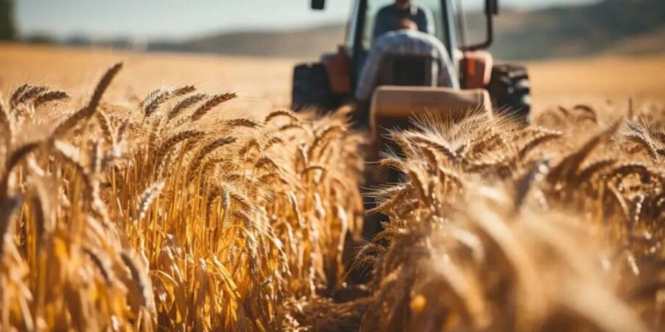 Қазақ астығын Парсы шығанағы елдеріне жеткізу жолдары пысықталып жатыр