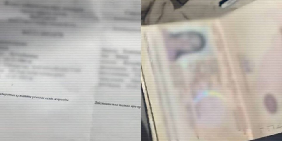 Алматы облысында заңсыз көші-қон арнасын ұйымдастырған қылмыстық топ ұсталды (ВИДЕО)