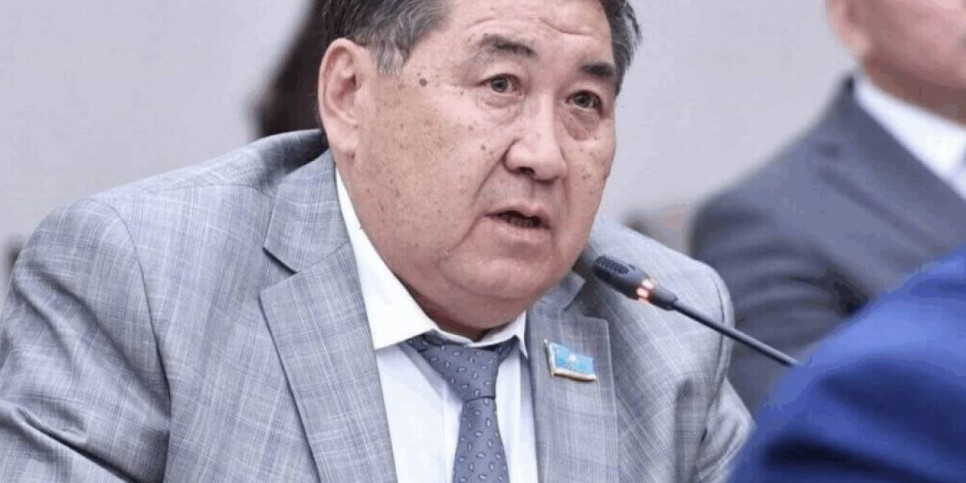 Назарбаев мемлекеттік басқару жүйесінен толықтай шеттетілген – Бапи