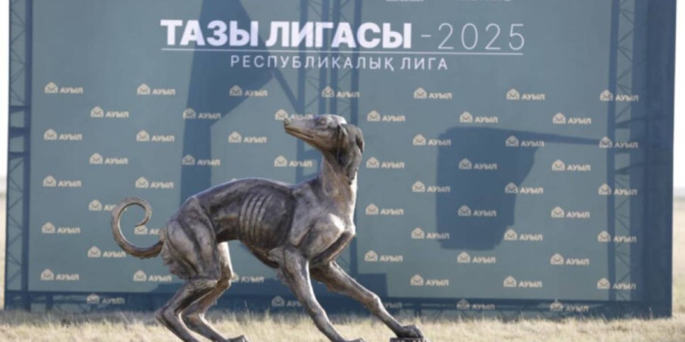 «Тазы лигасы – 2025»: Жүйрік тазылар жарысты