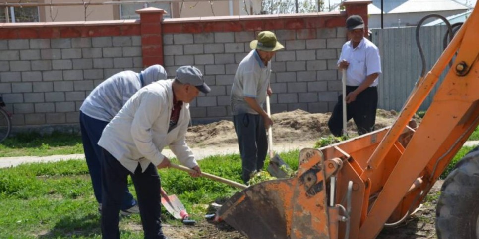 Жетісай ауданында экоакция аясында 300 түп ағаш әктелді