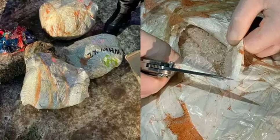 Елордада синтетикалық есірткі жеткізудің ірі арнасы жойылды