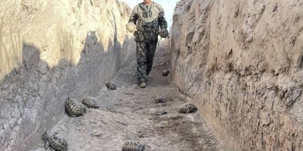 «Таза Қазақстан» экологиялық акциясының ауқымын кеңейту керек»