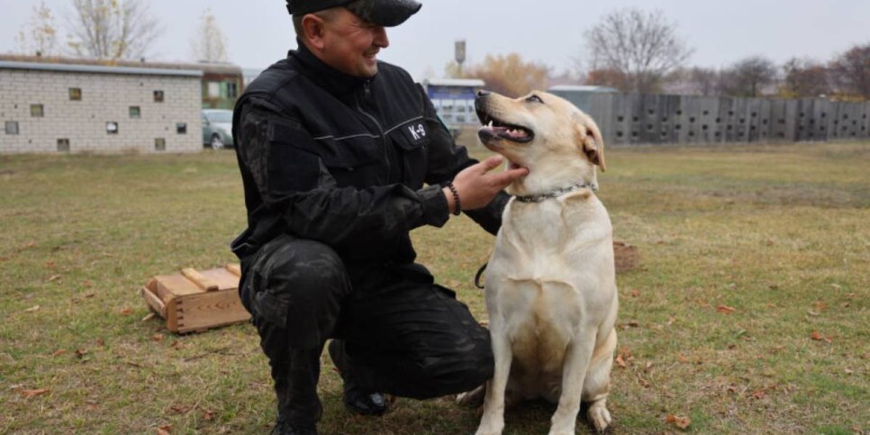 Иісшіл иттер өз көмегін көрсетті
